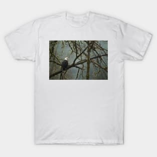 Eagle in the rainforest T-Shirt